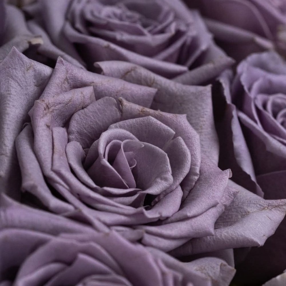 Open To Trades N Offers